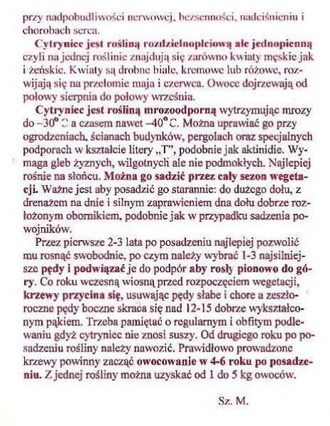 Cytryniec