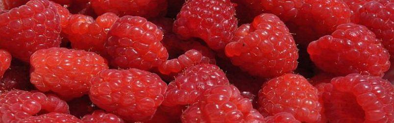 Maliny