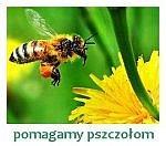 Pszczoła