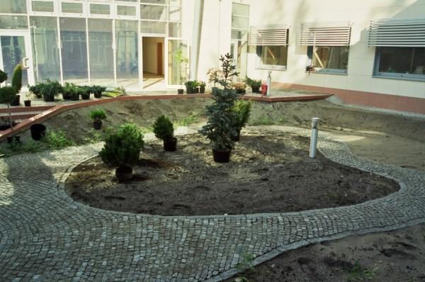 krzak-29