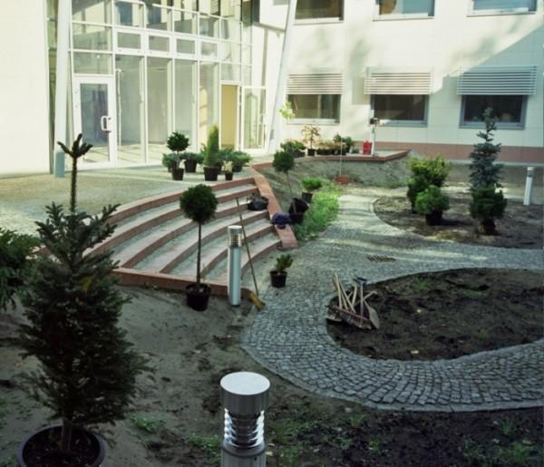 krzak-28