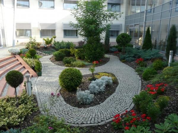 krzak-24